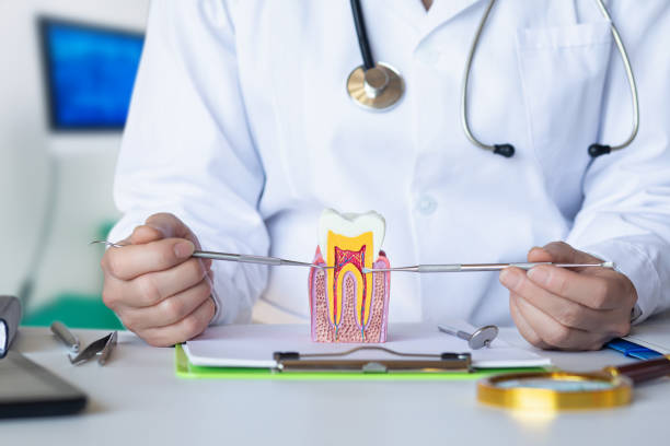 Best Emergency Cosmetic Dentistry in Newkirk, OK